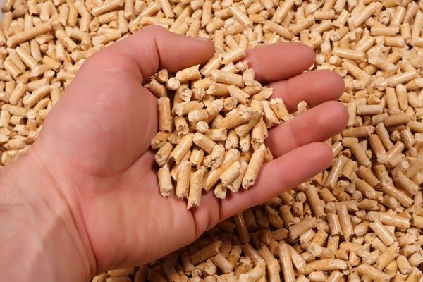 softwood pellets