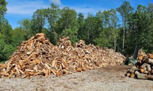fire wood for sale near me